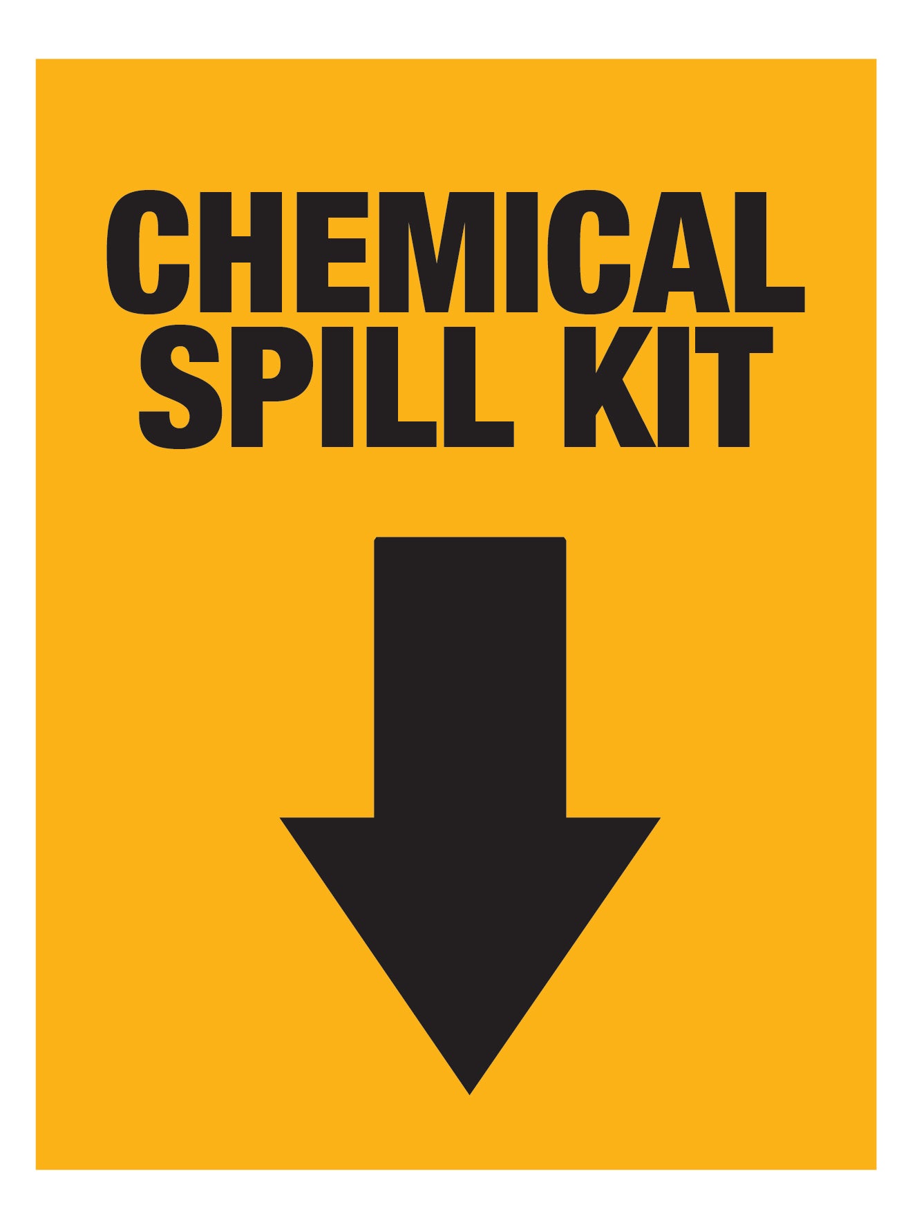 Chemical Spill Kit